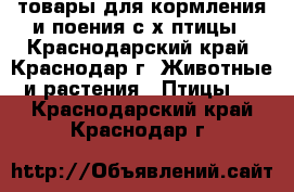 товары для кормления и поения с/х птицы - Краснодарский край, Краснодар г. Животные и растения » Птицы   . Краснодарский край,Краснодар г.